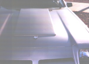 1983R22dHood.jpg (10917 bytes)